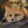 Pastel: fox