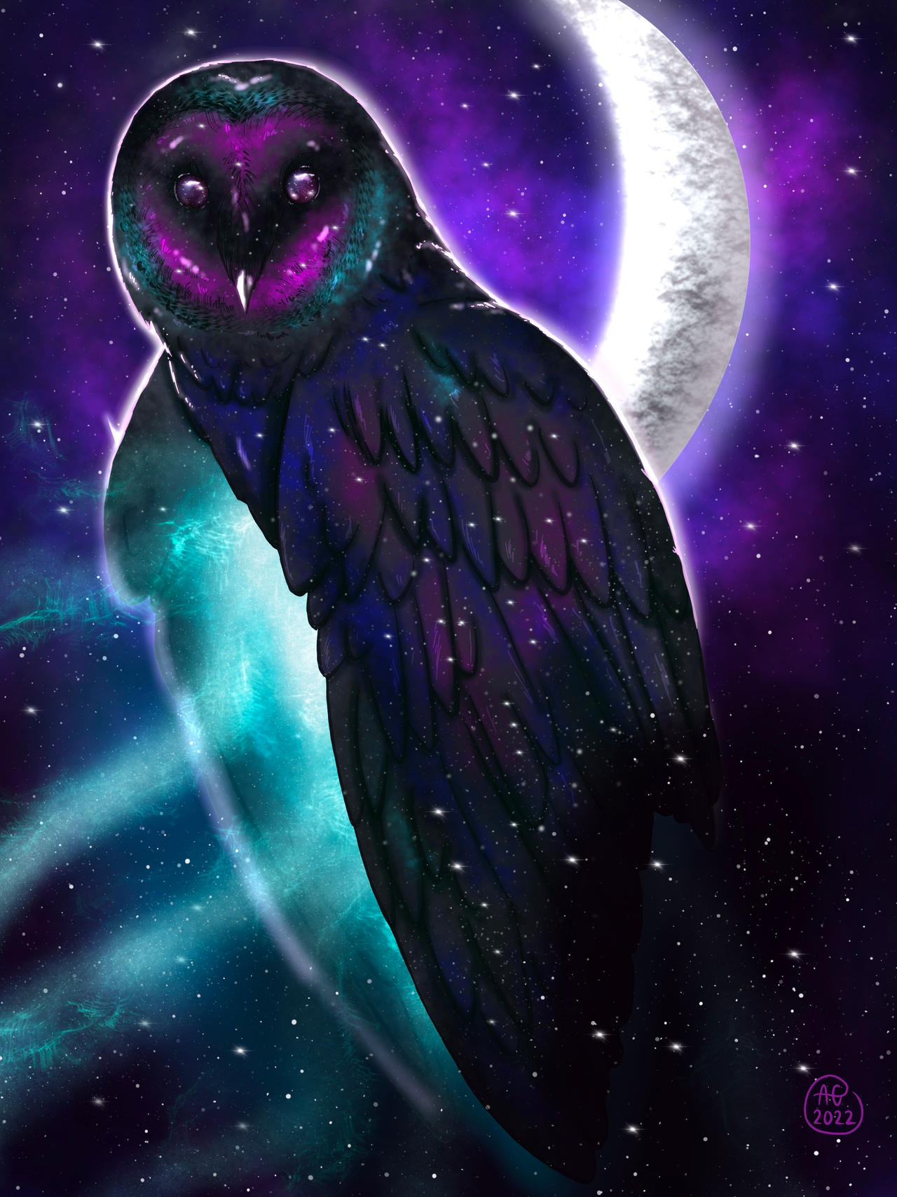 Galactic Meowl Galaxy Owl by AshGreerArt on DeviantArt