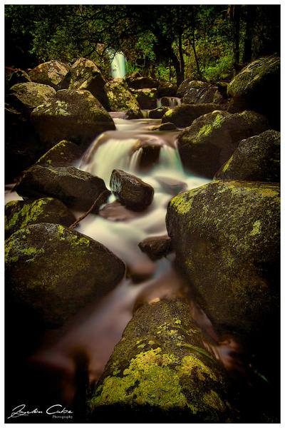 CURTIS FALLS SUNDAY