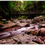 Natural Arch Stream