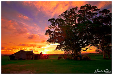 Cabbage Tree Point Sunset by jaydoncabe