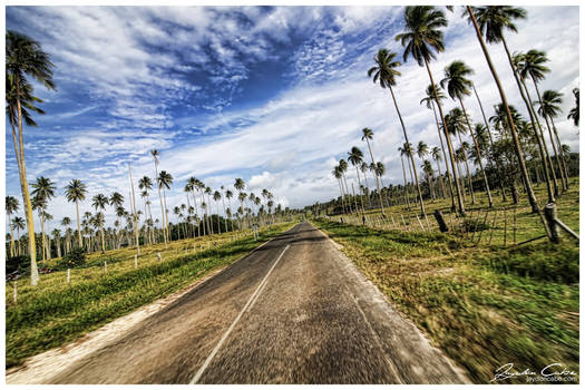 Backroads Vanuatu