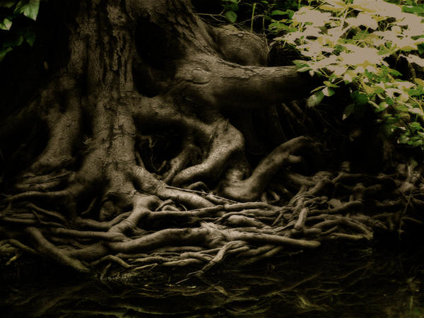 Doob Roots The Roots by D-aneo on DeviantArt