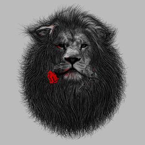 LionandRose by FZDAkurt