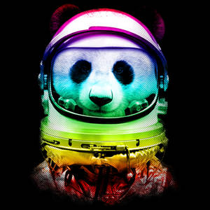 Space Panda