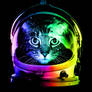 Astronaut Cat