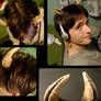 A Faun's Horns