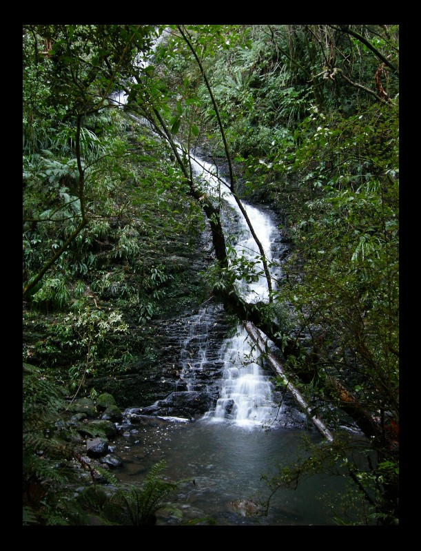 NZ Falls 01