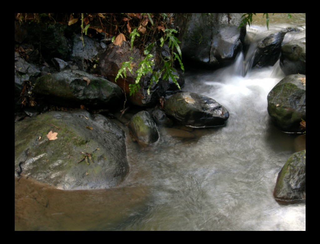 NZ Falls 02