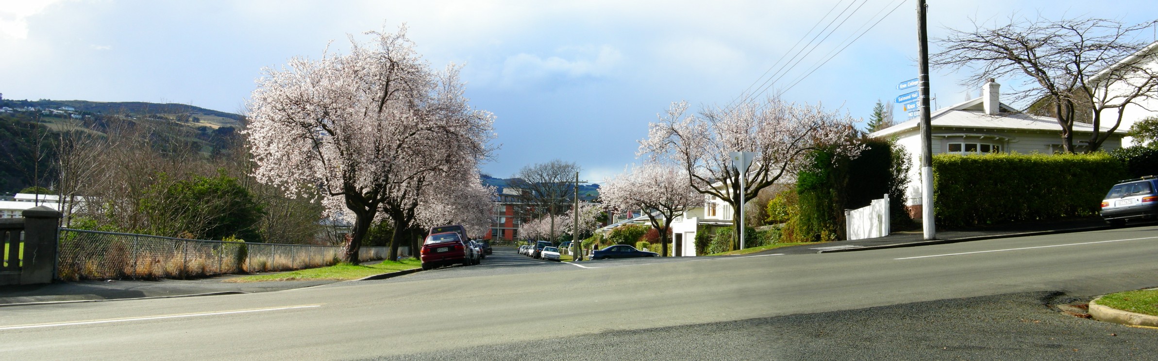 Blossom Lane