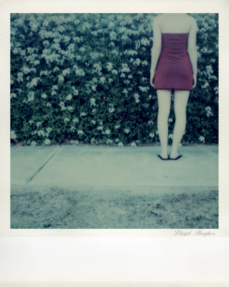 SX-70 polaroid 92 of 100 by lloydhughes