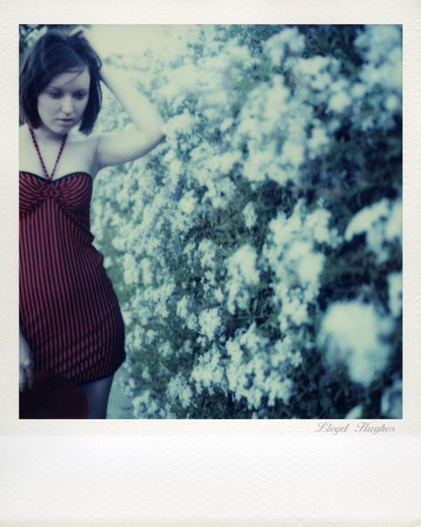 SX-70 polaroid 91 of 100 by lloydhughes