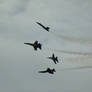 The Blue Angels