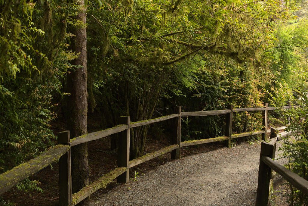 Inviting Path Inviting Path by imbrius on DeviantArt