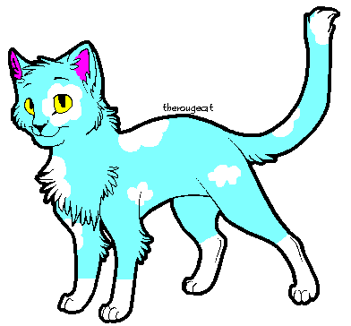 cloud cat adoptable