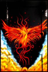 TYR Pheonix 1