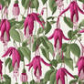 Embroidered Fuchsias