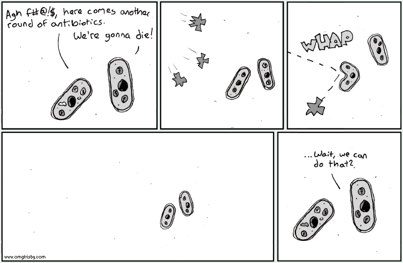 Vancomycin is pointy