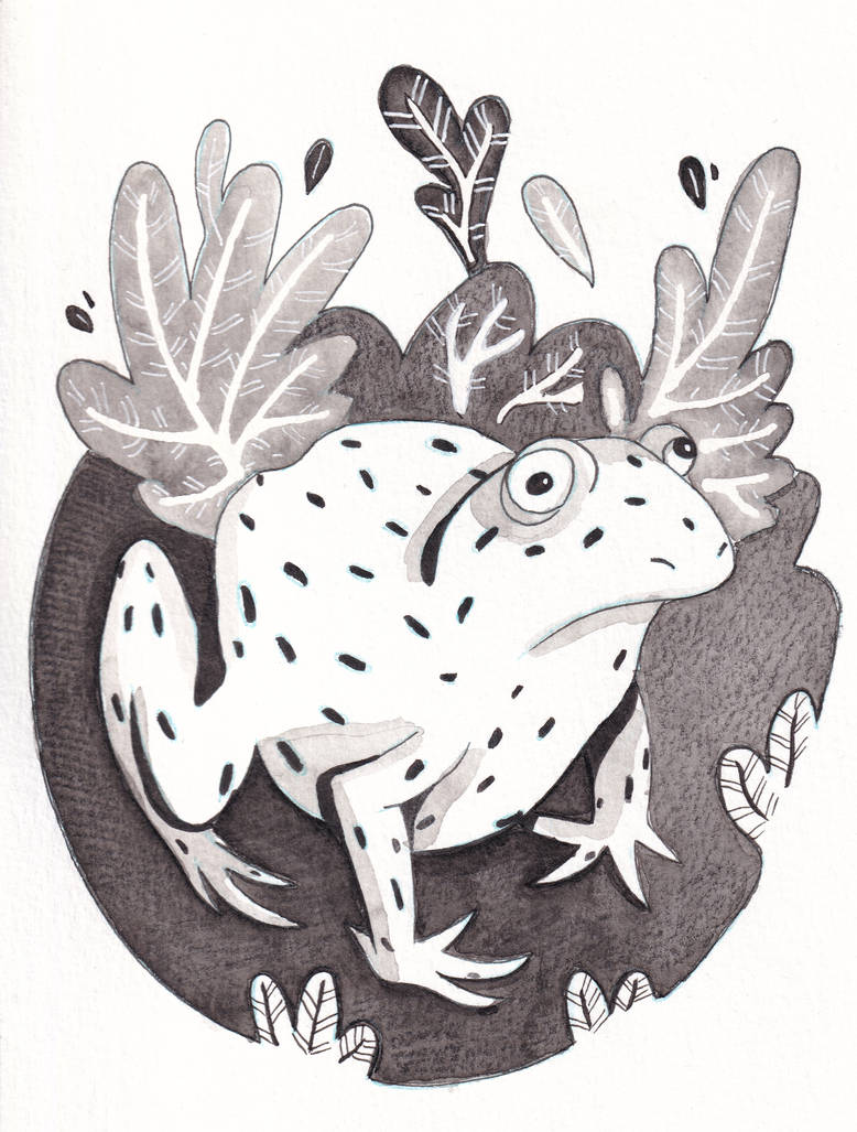 Frog by Siobhan-o-wisp on DeviantArt