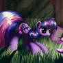 Curiosity
