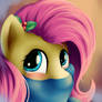 Winter Fluttershy