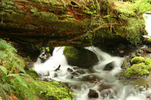 Log Waterfall