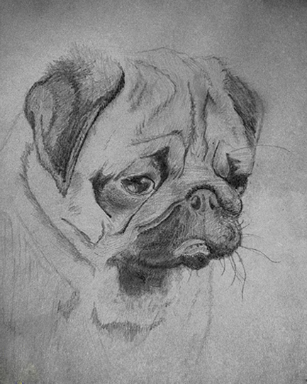 Mops by thenSir on DeviantArt