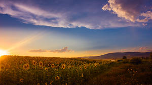 Bulgarian Lands by thenSir