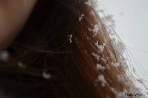 Soft Snowflakes