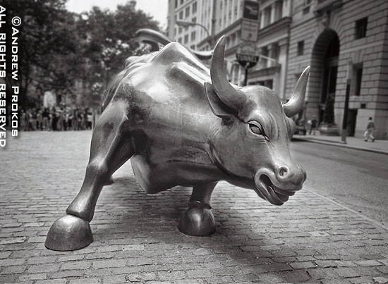 Wall Street Bull