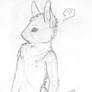 Young Rabbit Anthro