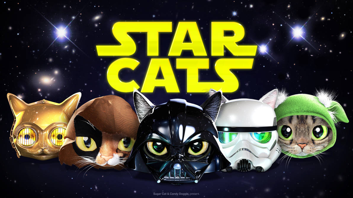 Cat stars игра. Звездные коты. Котики Star Wars. Кошки в Звездных войнах. Звёздные войны коты арт.