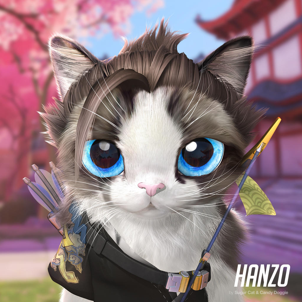 Hanzo cat