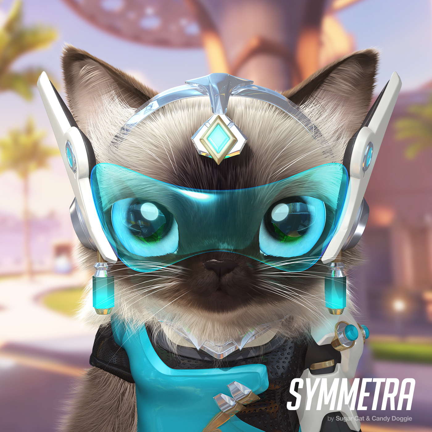 Symmetra cat