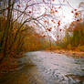 Autumn river