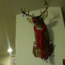 Deer head ready for Christmas