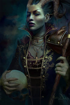 The Commodore