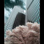 Seattle by Infrared