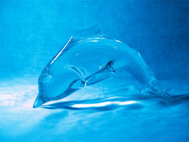 Dolphin