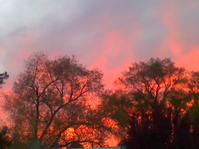 Pretty Wildfire a pretty fire by Happyspazz on DeviantArt