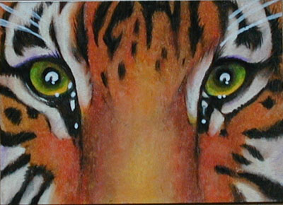 ATC: 'Tiger Eyes'