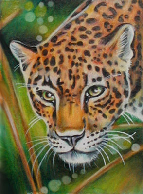 ATC: 'Stalking Jaguar'