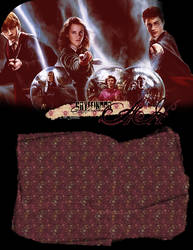 Harry Potter Trio, Layout.