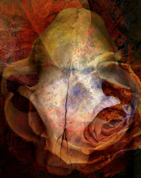 Paper and Object 40