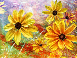 Orange Flowers