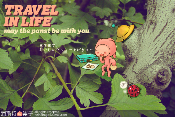 Panst travel in life--3