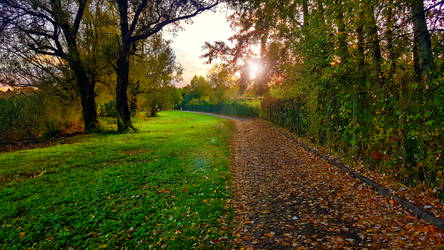 The Road to the Lake