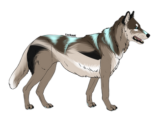 .:Wolf Adopt 8(CLOSED):.