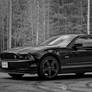 2014 Ford Mustang GT