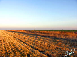 Texas Sunrise high res 1....